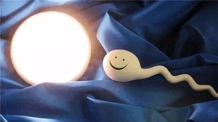 锦书生殖